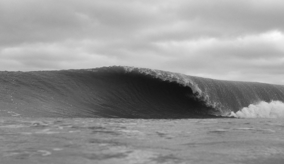 This is what we all wait for around here. Photo: <a href=\"https://follyhood.blogspot.com\">Justin Morris</a>