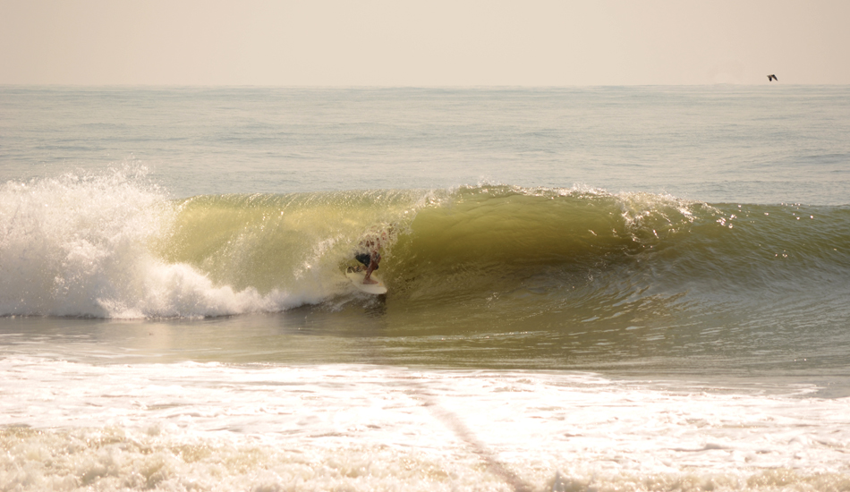Cuff loves barrels. This is from Tropical Storm Issac. Photo: <a href=\"https://follyhood.blogspot.com\">Justin Morris</a>