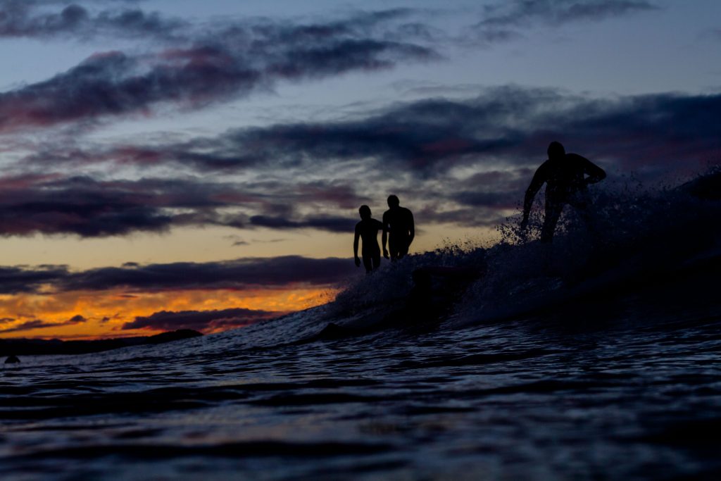 Photo: <a href=\"https://brentonderooy.com/\">Brenton de Rooy</a>