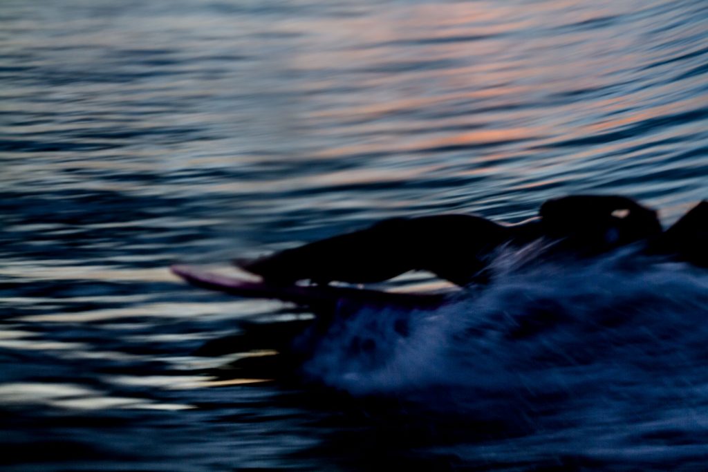 Photo: <a href=\"https://brentonderooy.com/\">Brenton de Rooy</a>