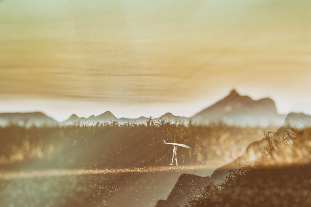 Photo: <a href=\"https://brentonderooy.com/\">Brenton de Rooy</a>