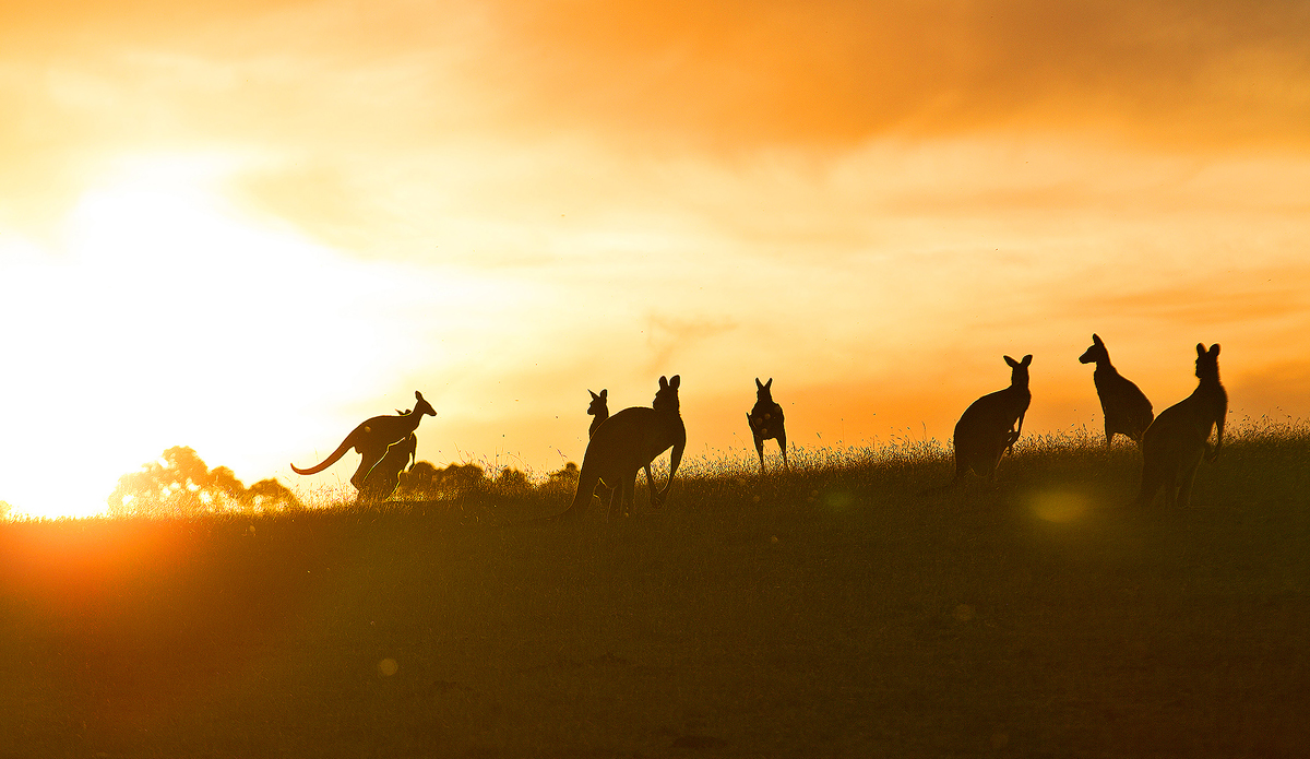 Australia. Photo: <a href=\"https://www.kirstinscholtz.com/\">Kirstin Scholtz</a>
