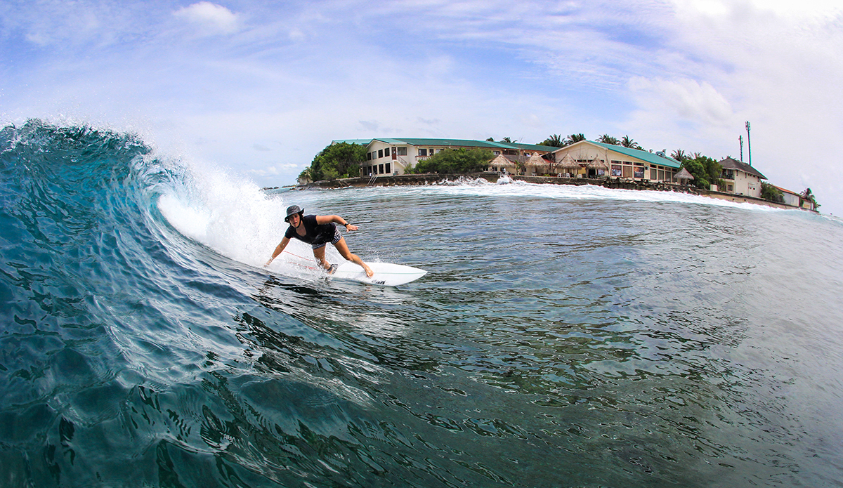 Photo: Alex Postigo / @thefrogeye