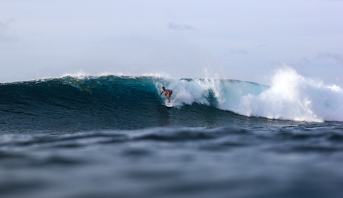 Photo: Alex Postigo / @thefrogeye