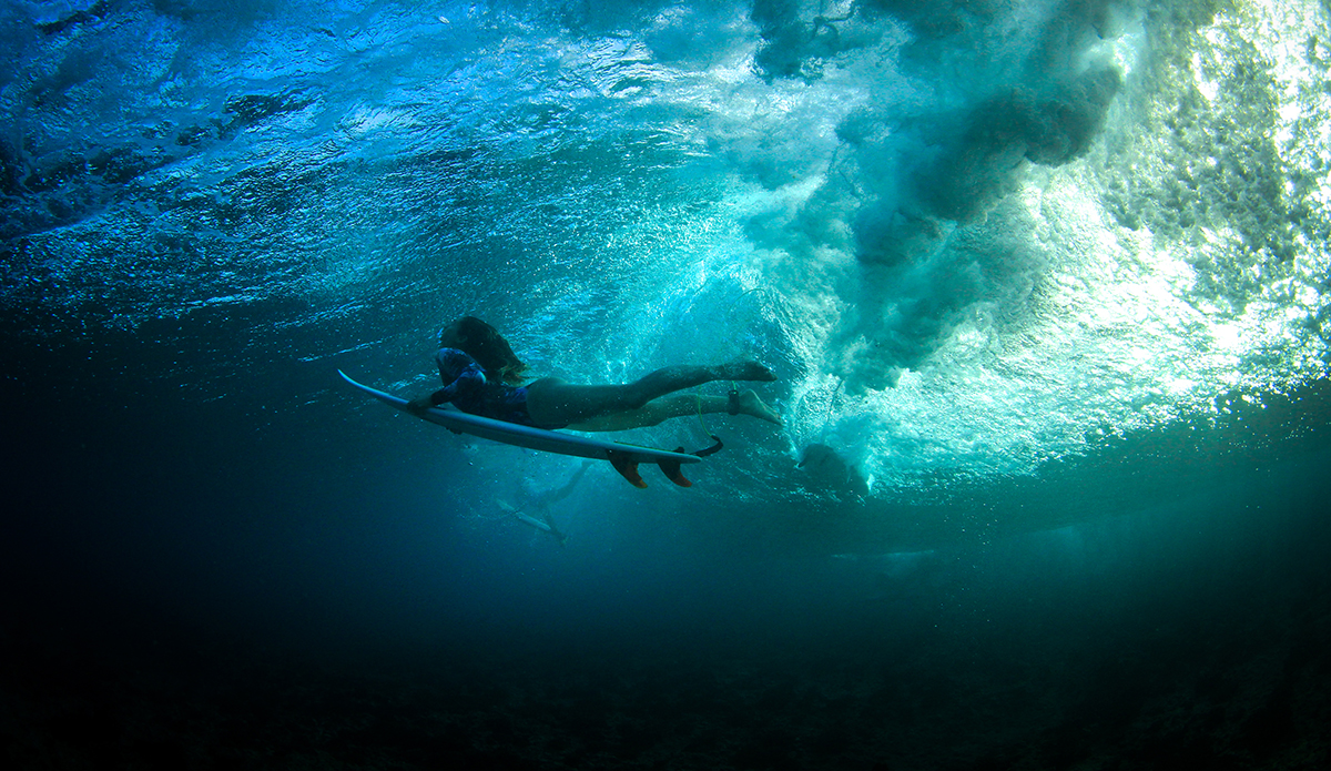 Photo: Alex Postigo / @thefrogeye