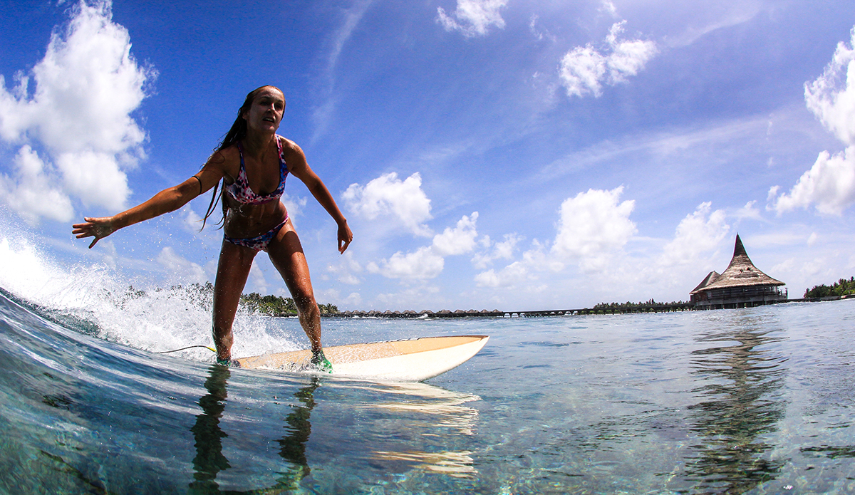 Photo: Alex Postigo / @thefrogeye