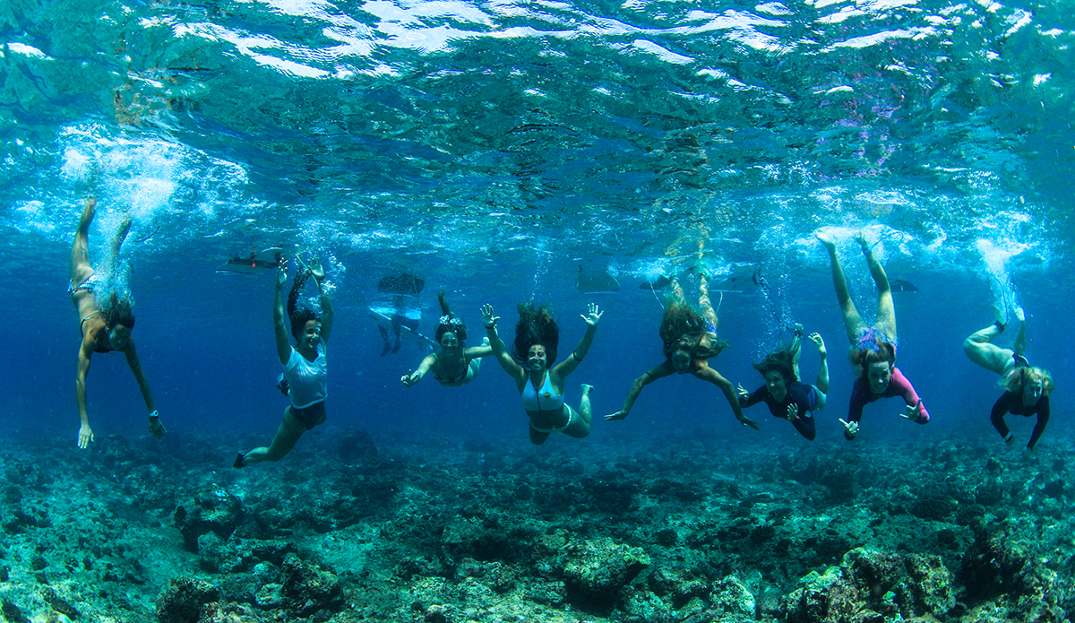 Photo: Alex Postigo / @thefrogeye