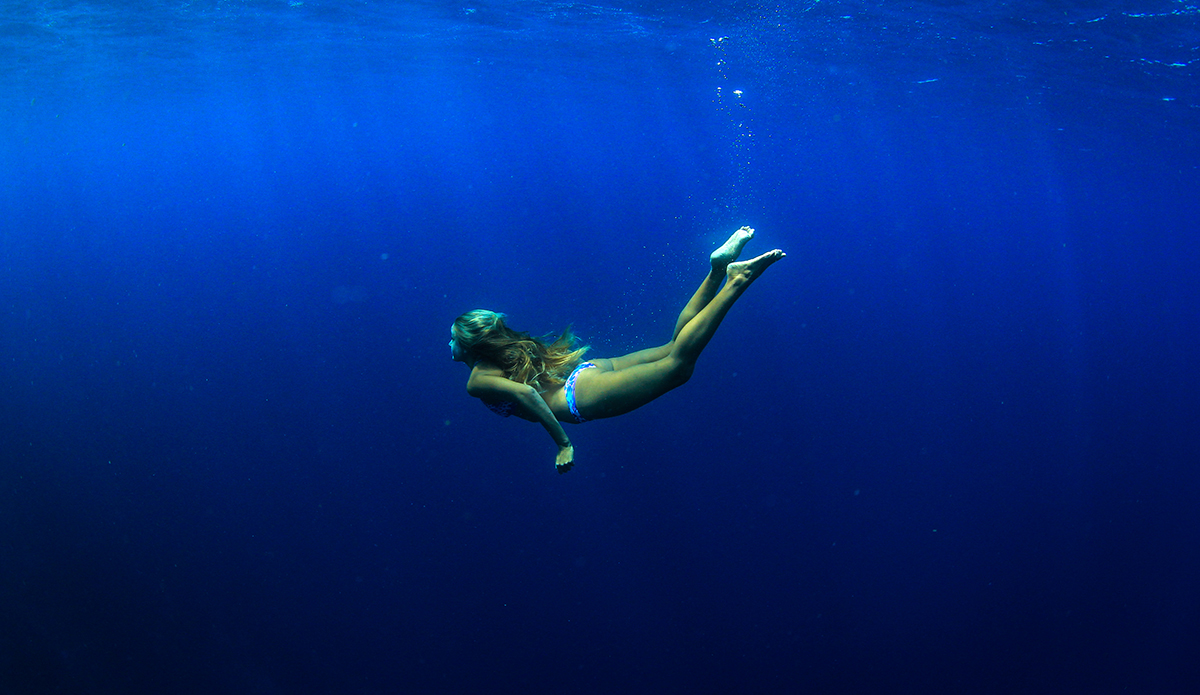 Photo: Alex Postigo / @thefrogeye