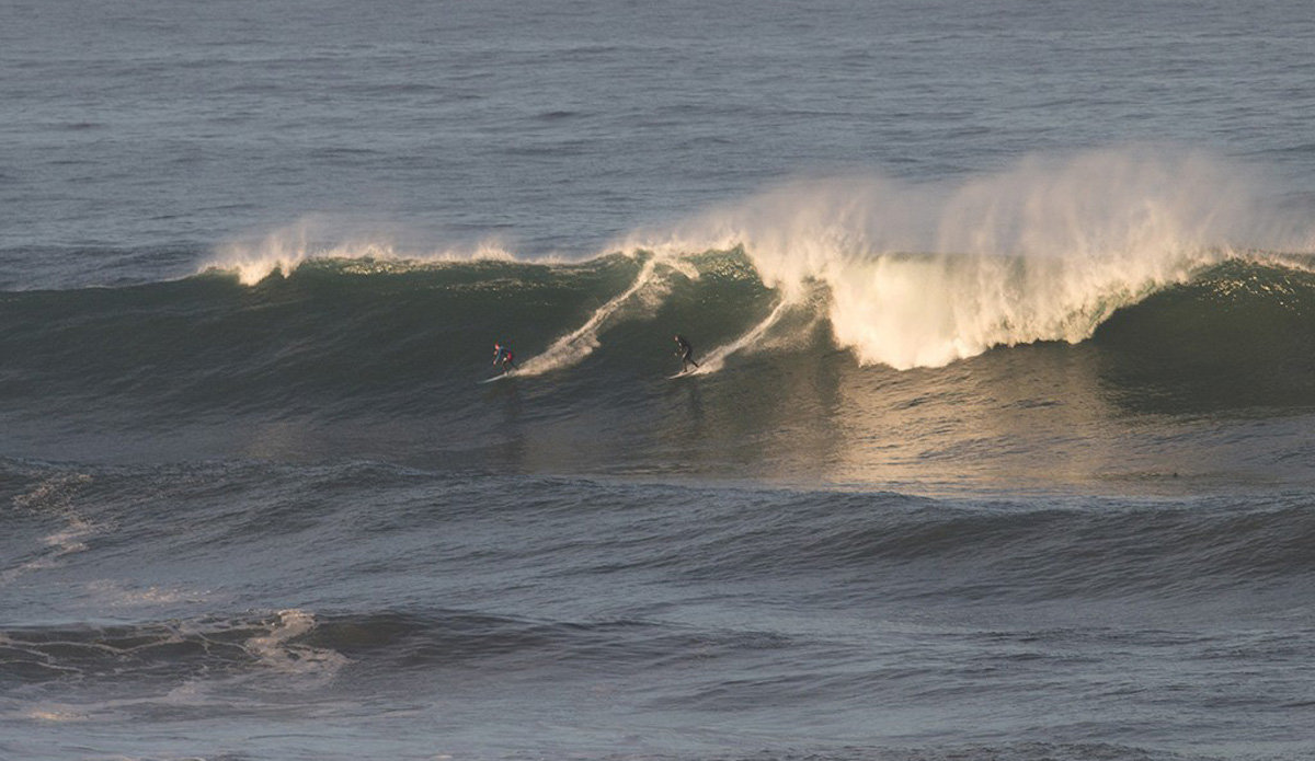 Photo: <a href=\"https://www.pedrobalaphotography.com/\">Pedro Bala</a>