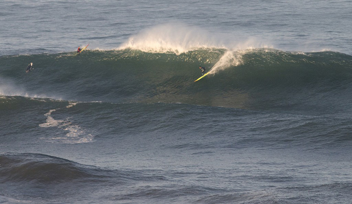 Photo: <a href=\"https://www.pedrobalaphotography.com/\">Pedro Bala</a>