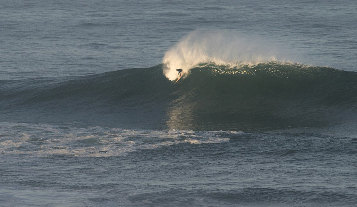 Photo: <a href=\"https://www.pedrobalaphotography.com/\">Pedro Bala</a>