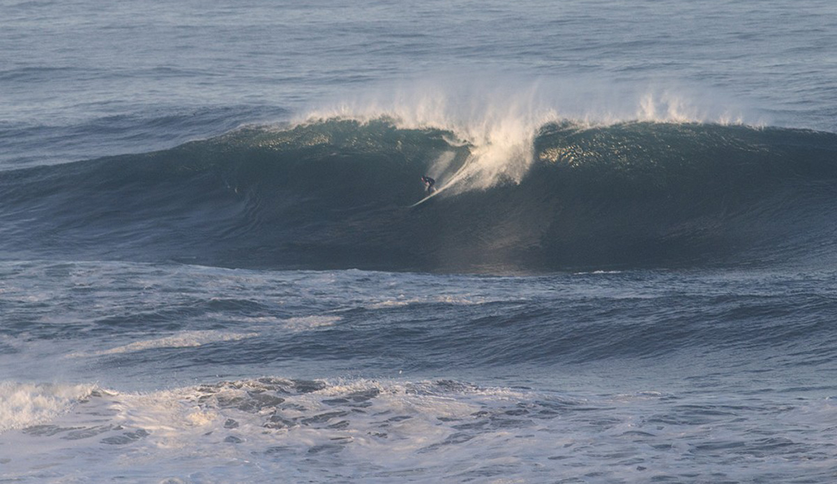 Photo: <a href=\"https://www.pedrobalaphotography.com/\">Pedro Bala</a>