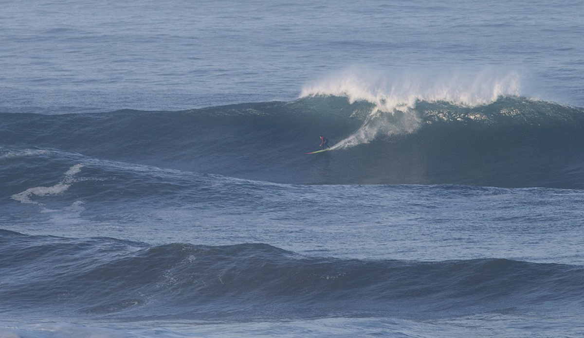 Photo: <a href=\"https://www.pedrobalaphotography.com/\">Pedro Bala</a>