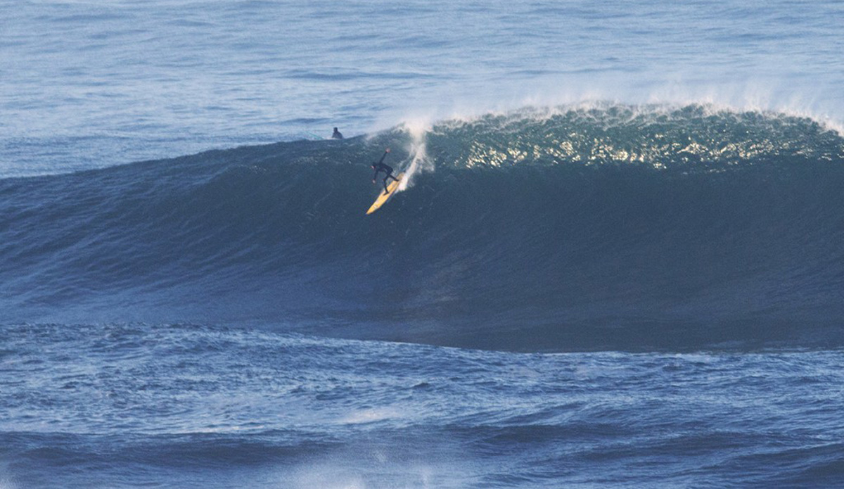 Photo: <a href=\"https://www.pedrobalaphotography.com/\">Pedro Bala</a>