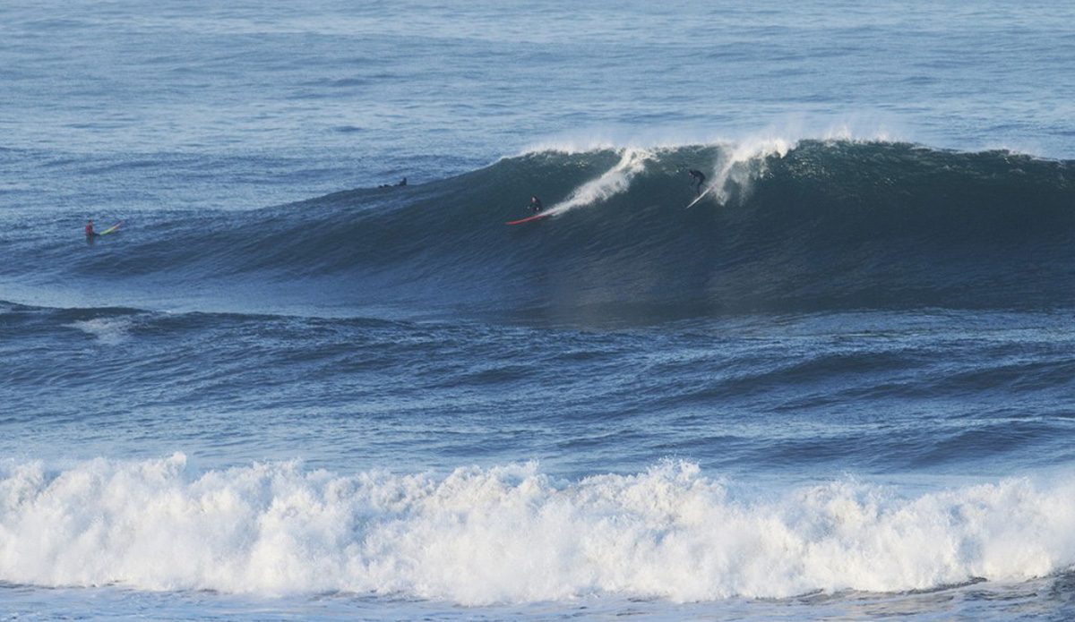 Photo: <a href=\"https://www.pedrobalaphotography.com/\">Pedro Bala</a>