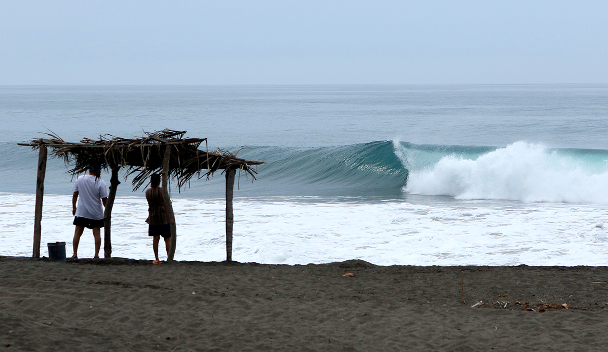 Photo: Mark Kronemeyer