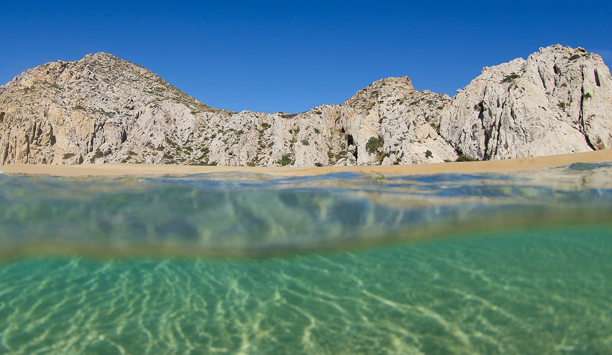 Photo: Mark Kronemeyer