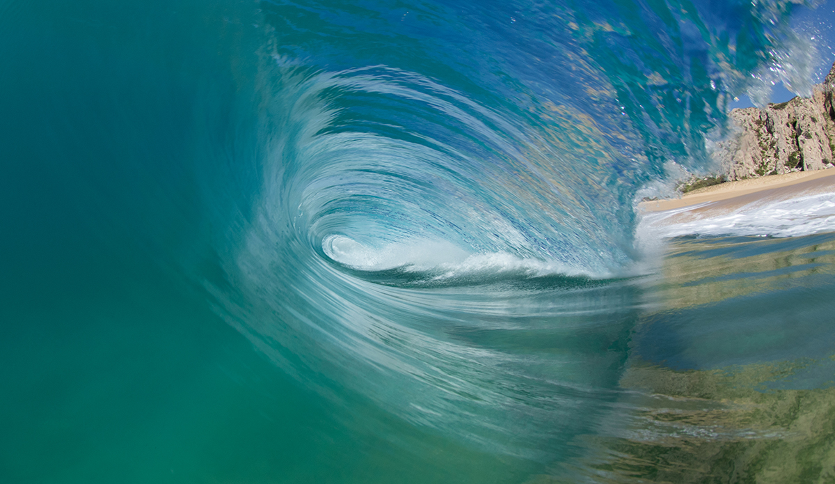 Photo: Mark Kronemeyer