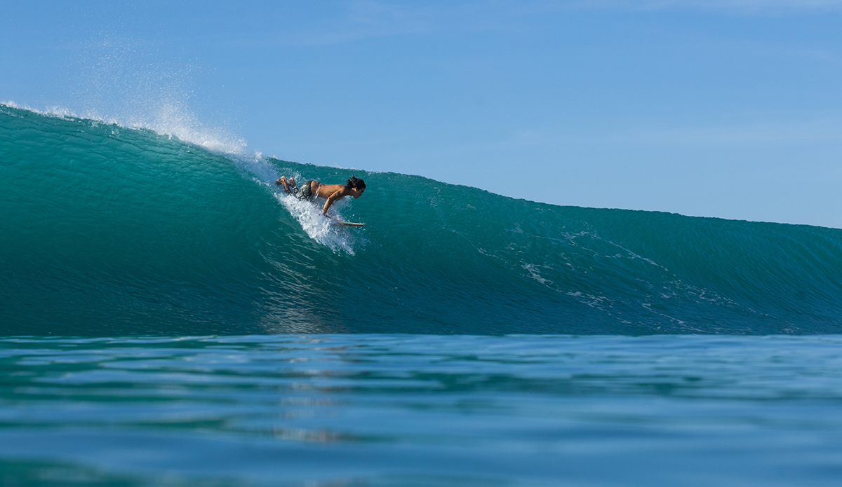 Photo: Mark Kronemeyer