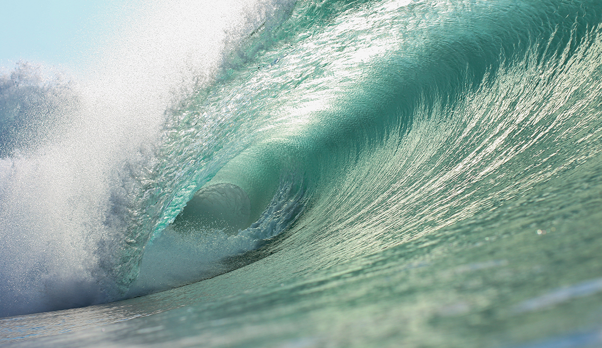 Photo: Mark Kronemeyer