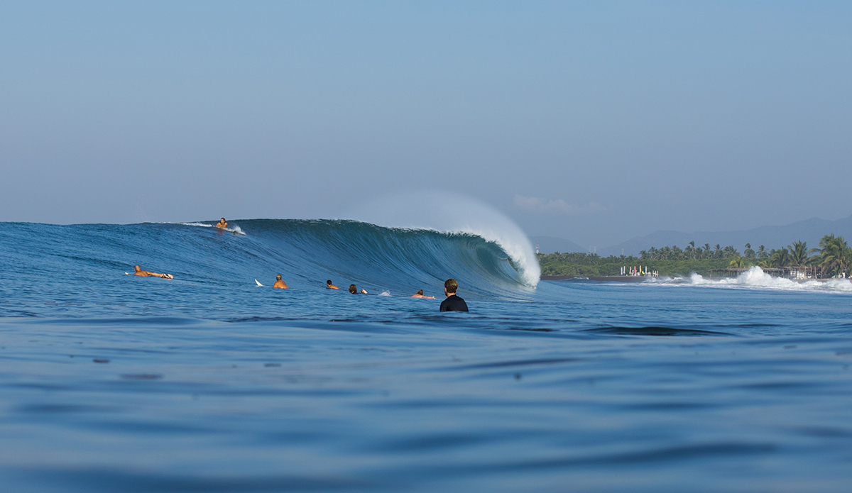 Photo: Mark Kronemeyer