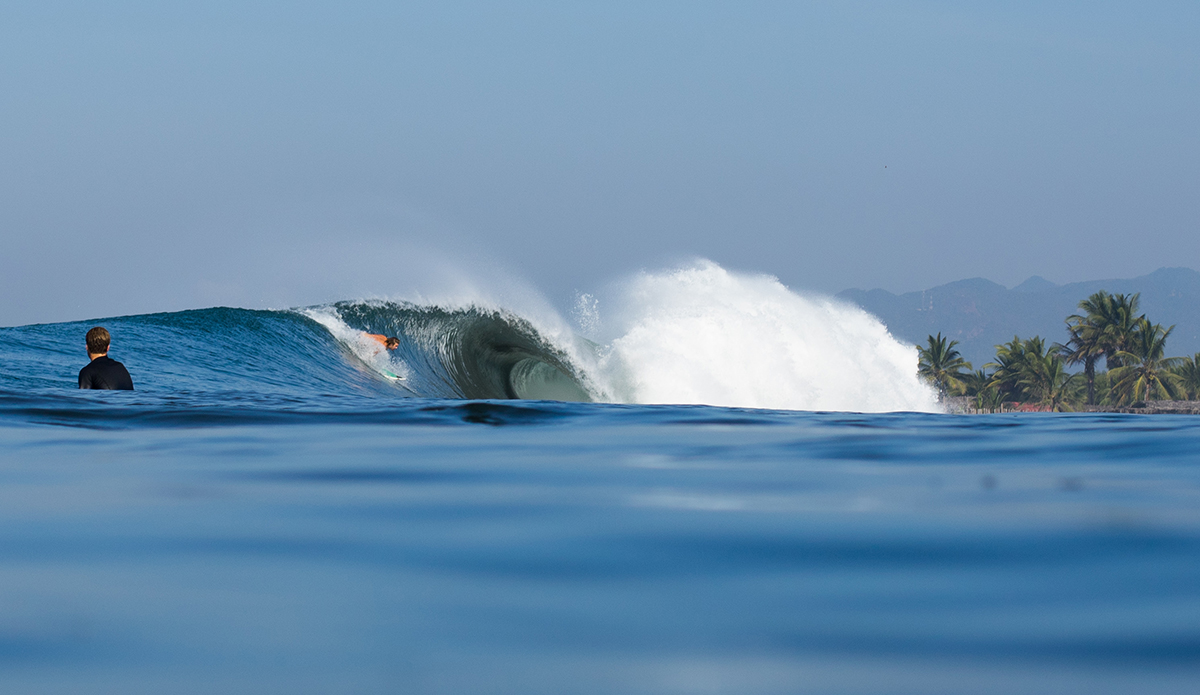 Photo: Mark Kronemeyer