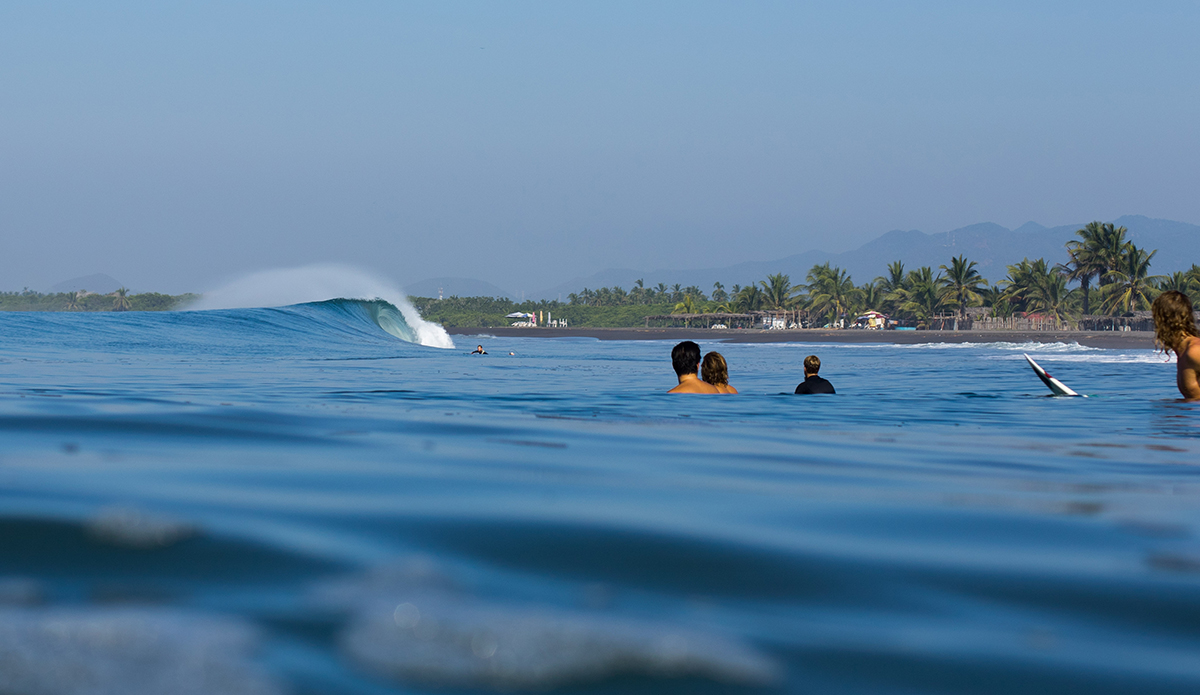 Photo: Mark Kronemeyer