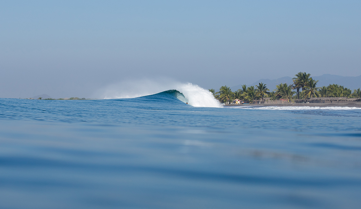 Photo: Mark Kronemeyer