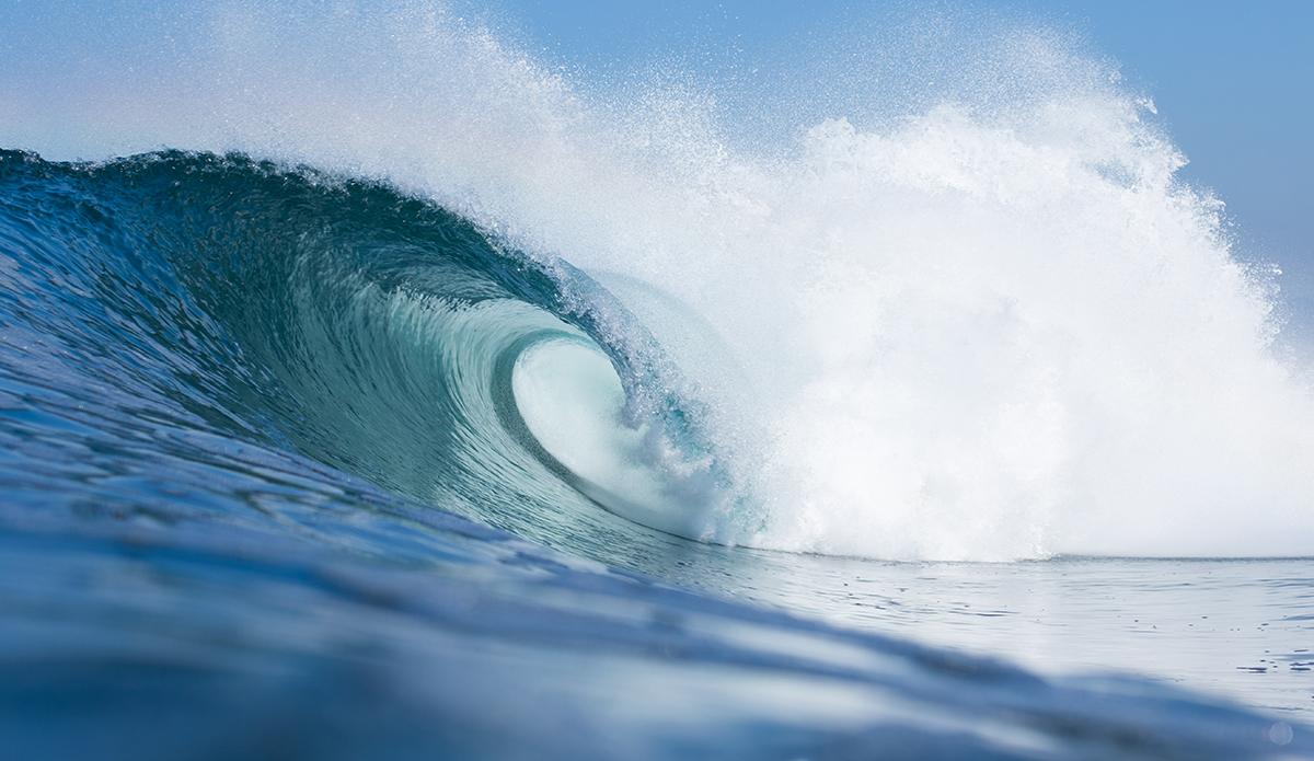 Photo: Mark Kronemeyer