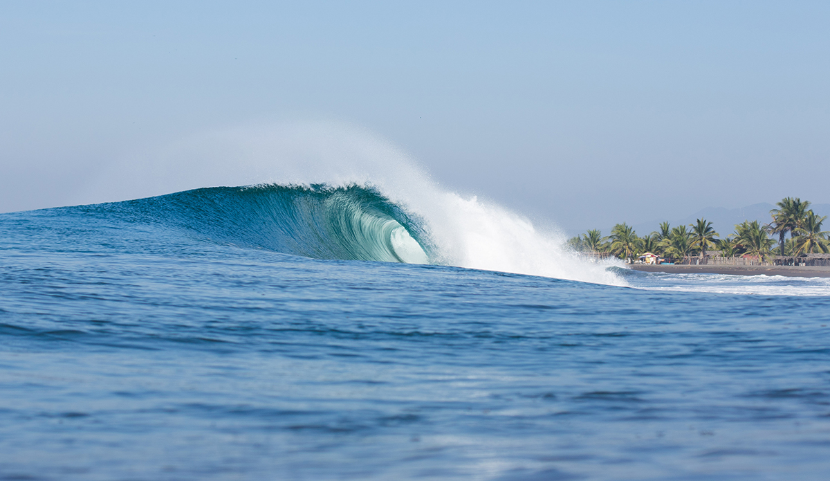 Photo: Mark Kronemeyer