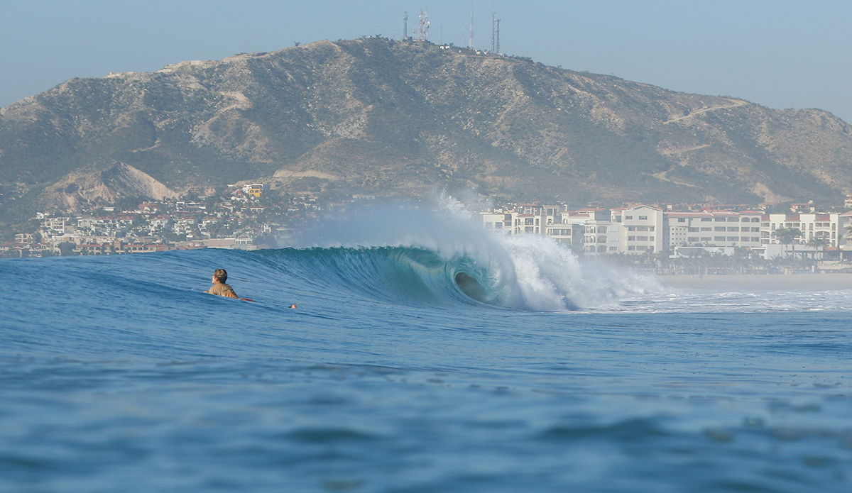 Photo: Mark Kronemeyer