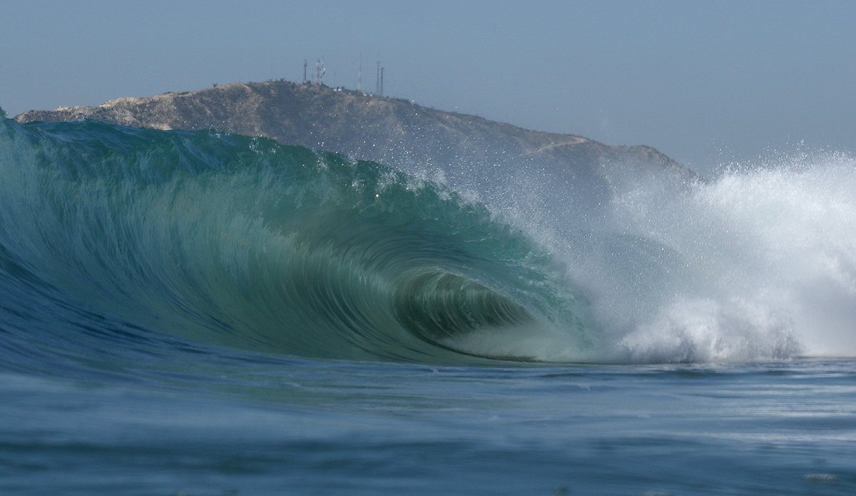 Photo: Mark Kronemeyer