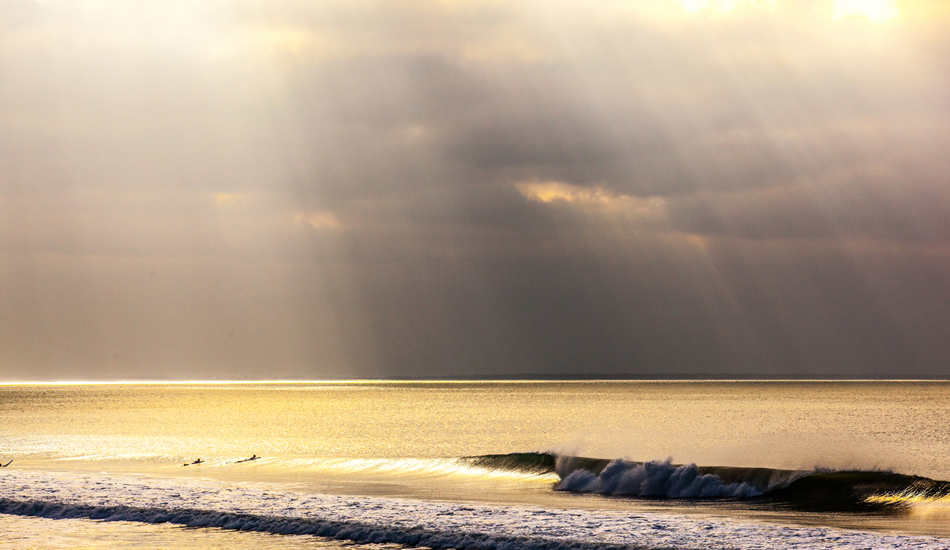 Perfect little french beauty. Photo: Michael Nee