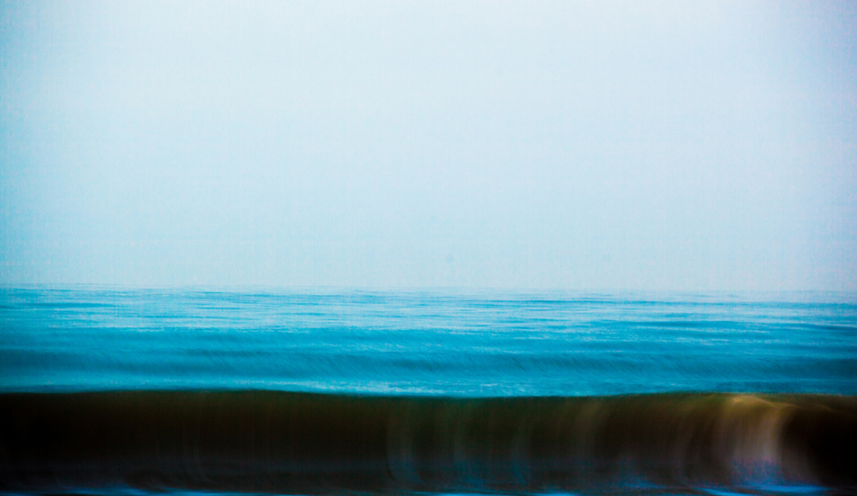 Moving slow in the morning. Photo: Michael Nee