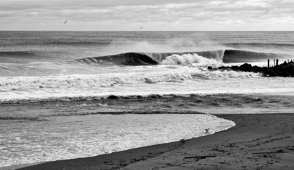 Photo: <a href=\"https://instagram.com/robertsiliatophotography\">Bobby Siliato</a>