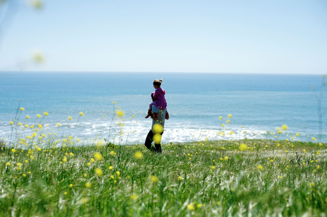 Photo: Morgan Maassen