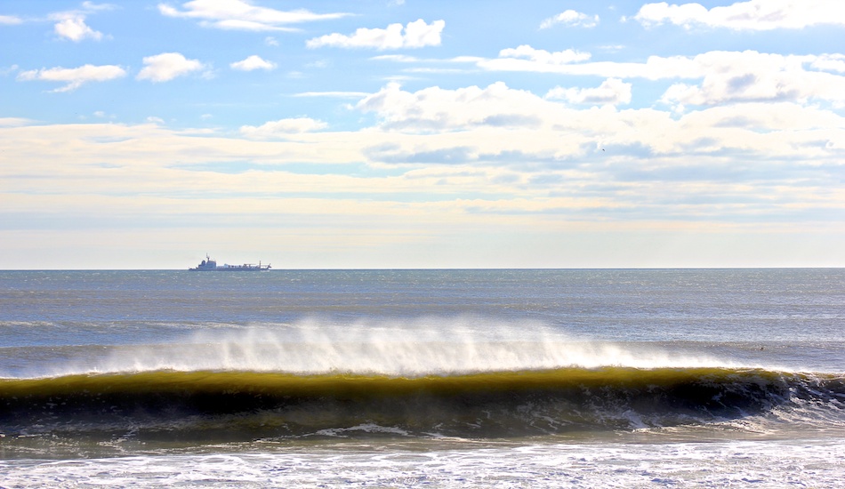 New Jersey Gem. Photo: <a href=\"https://petemilnesproductions.com\">Pete Milnes</a>