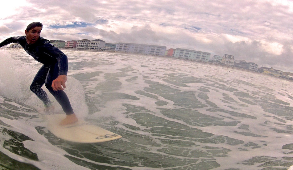 Classic yew face. Photo: <a href=\"https://petemilnesproductions.com\">Pete Milnes</a>