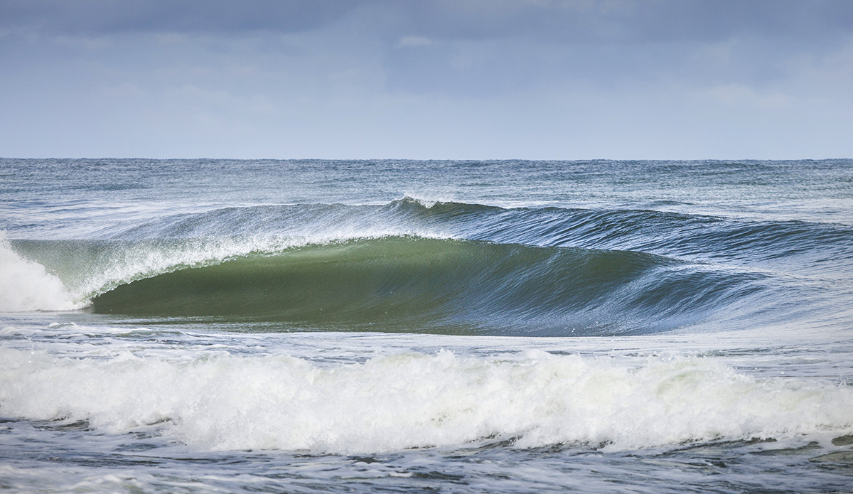 Photo: Krzysztof Jędrzejak