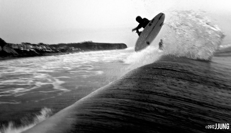 Black bird.  Photo: <a href=\"https://www.jungphoto.com/\" target=_blank>Justin Jung</a>.