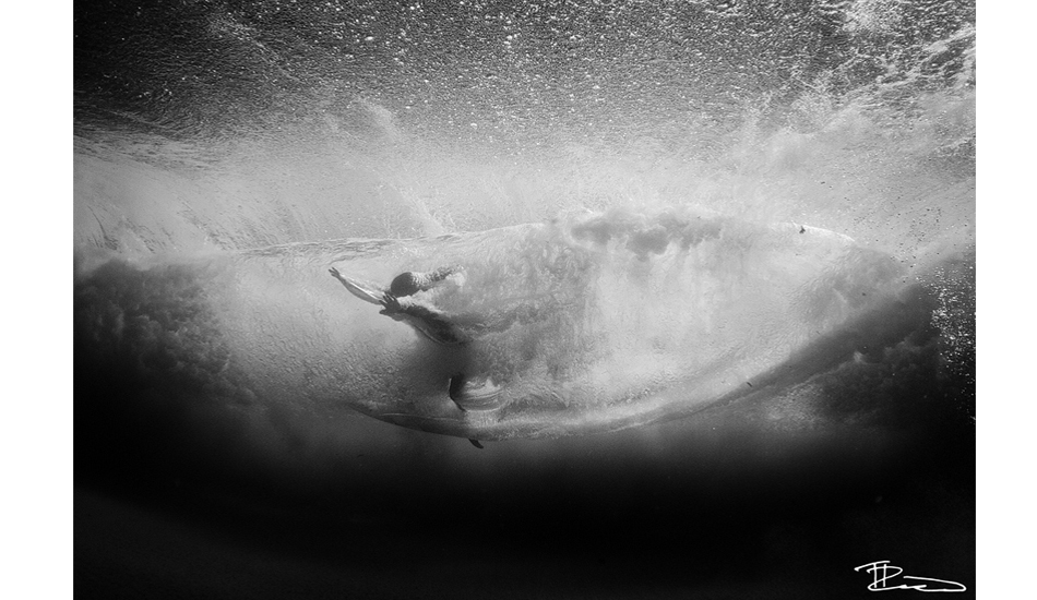 Recently I’ve been experimenting with shooting underwater stuff. It\'s such a different world below the surface. Photo: <a href=\"https://timborrow.tumblr.com\">Tim Borrow</a>