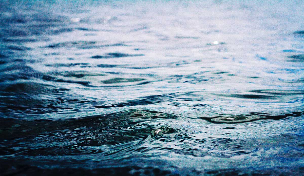 Aquatic therapy. Photo: <a href=\"https://instagram.com/nick_ventura_\"> Nick Ventura</a>