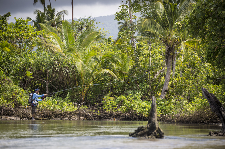 From the jungle to the ocean. We explore small creeks flowing into the flats, hoping to catch a fresh water fish species.