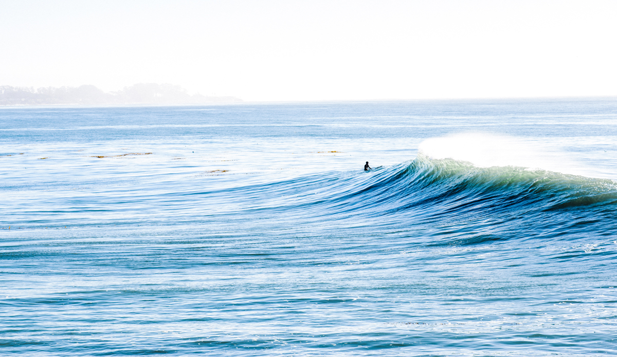 Sometimes all one can do is just simply watch. Photo: <a href=\"https://www.lookdontspeak.com\">Andrew Simoni</a>