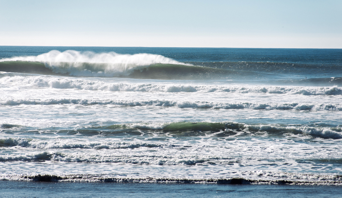 Doh SF days a small black dot in the upper right is a man\'s head for size. Photo: <a href=\"https://www.lookdontspeak.com\">Andrew Simoni</a>