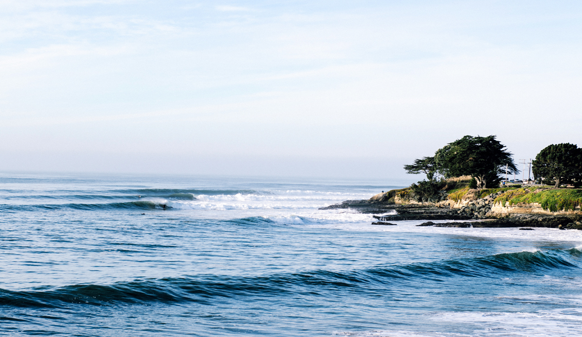 The right kind of lines. Photo: <a href=\"https://www.lookdontspeak.com\">Andrew Simoni</a>