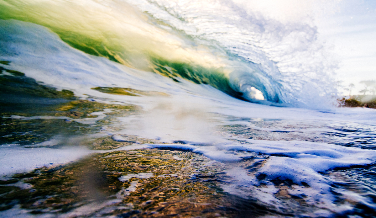 A peacock showing its colors. Photo: <a href=\"https://www.lookdontspeak.com\">Andrew Simoni</a>