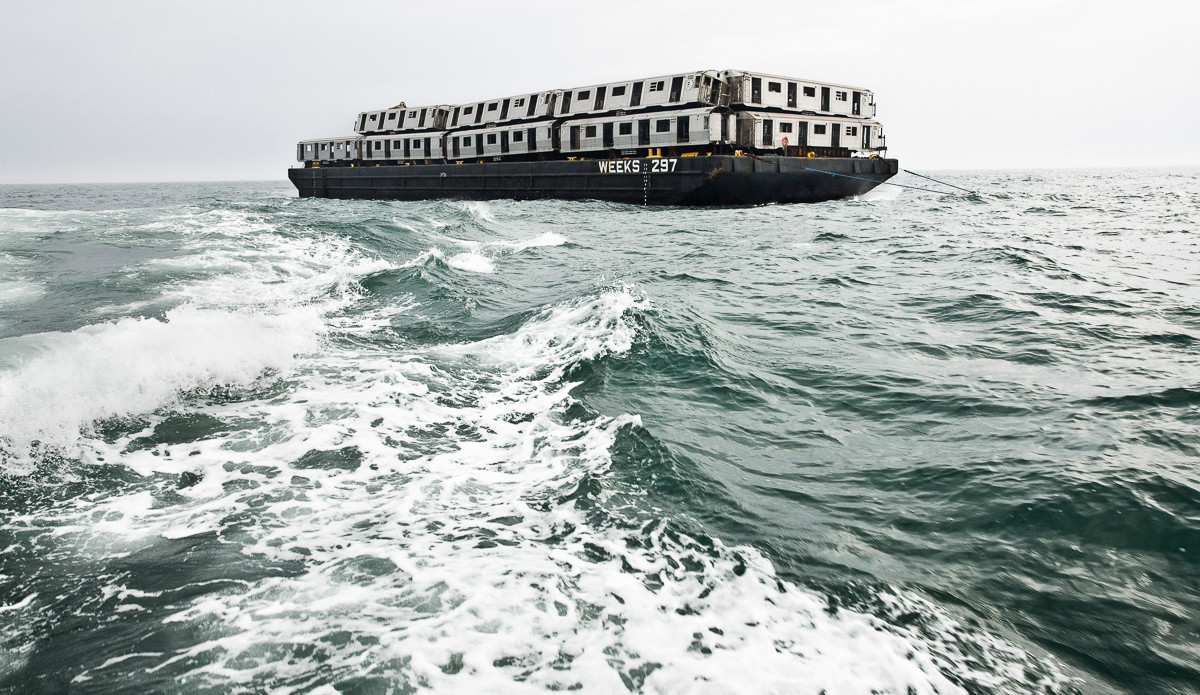 Weeks 297. Photo: <a href=\"https://www.stephenmallon.com/\">Stephen Mallon</a>