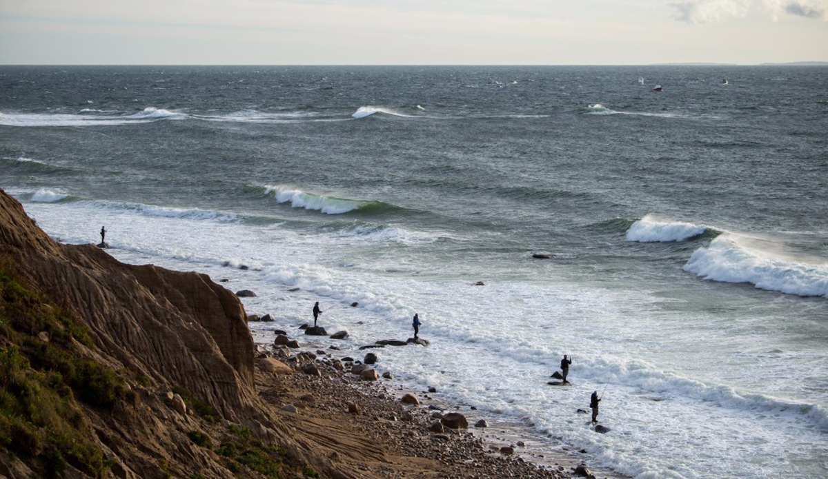 Photo: Andreea Waters