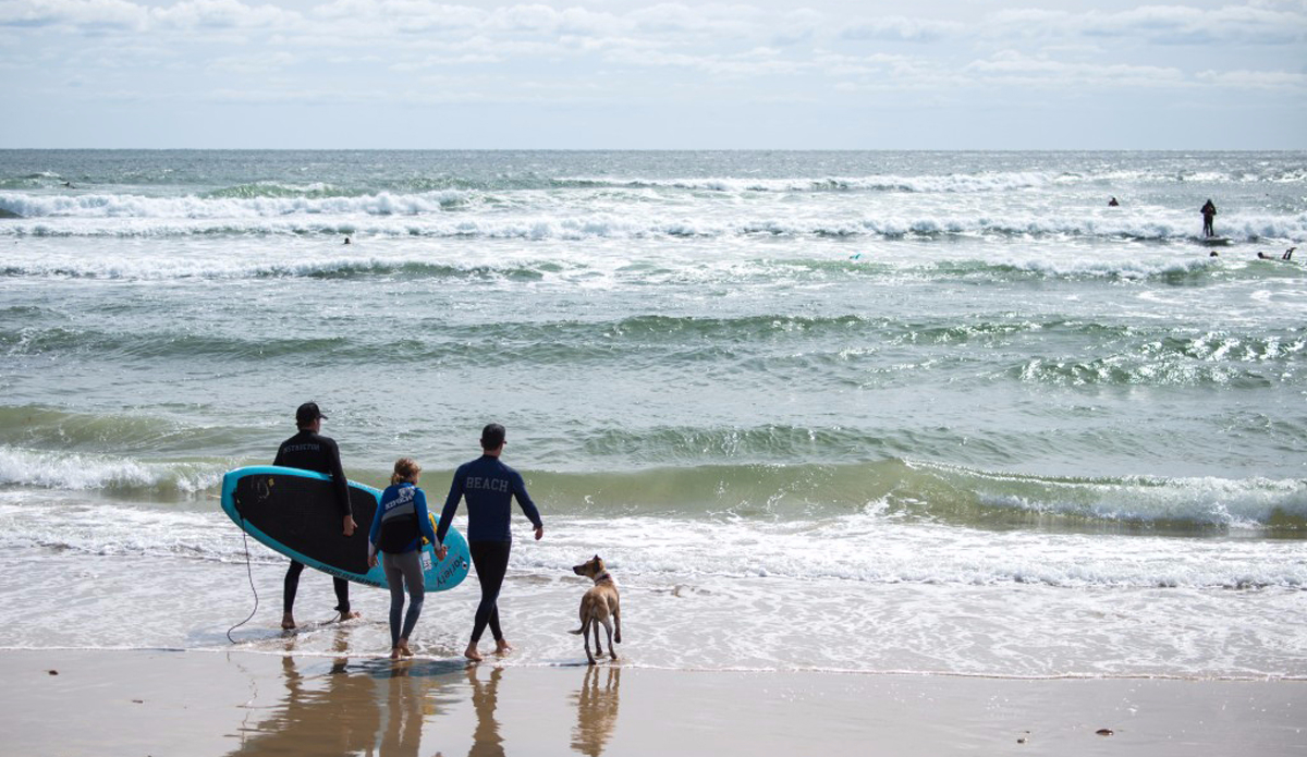 Photo: Andreea Waters